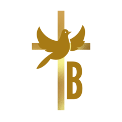 blagoslov logo